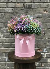 Цветочная композиция из Гипсофила и Розы в шляпной коробке #REPLACE_PRED# Коряжме