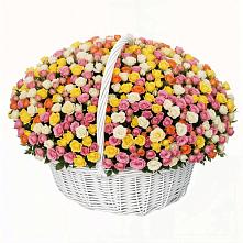 Премиум букет из: Розы в Коряжме