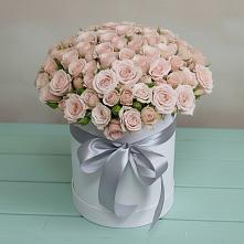 Цветочная композиция из Розы в шляпной коробке #REPLACE_PRED# Коряжме