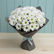 Букет цветов из:  Хризантемы в Коряжме