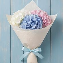 Букет цветов из:  Гортензия в Коряжме