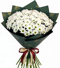 Букет цветов из:  Хризантемы в Коряжме