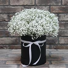 Цветочная композиция из Гипсофила в шляпной коробке в Коряжме