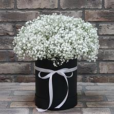 Цветочная композиция из Гипсофила в шляпной коробке в Коряжме