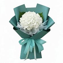 Букет цветов из:  Гортензия в Коряжме